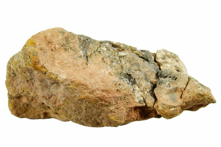 Howardite Meteorite ( g) - Bechar #348425